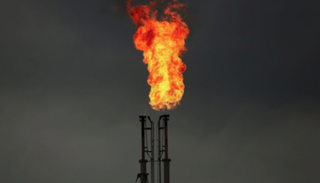 KHÍ TỰ NHIÊN MINI