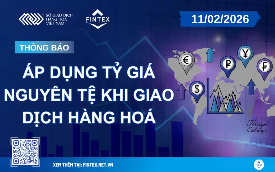 Áp Dụng Tỷ Giá Nguyên Tệ khi giao dịch hàng hoá tại MXV Ngày 11/02/2026