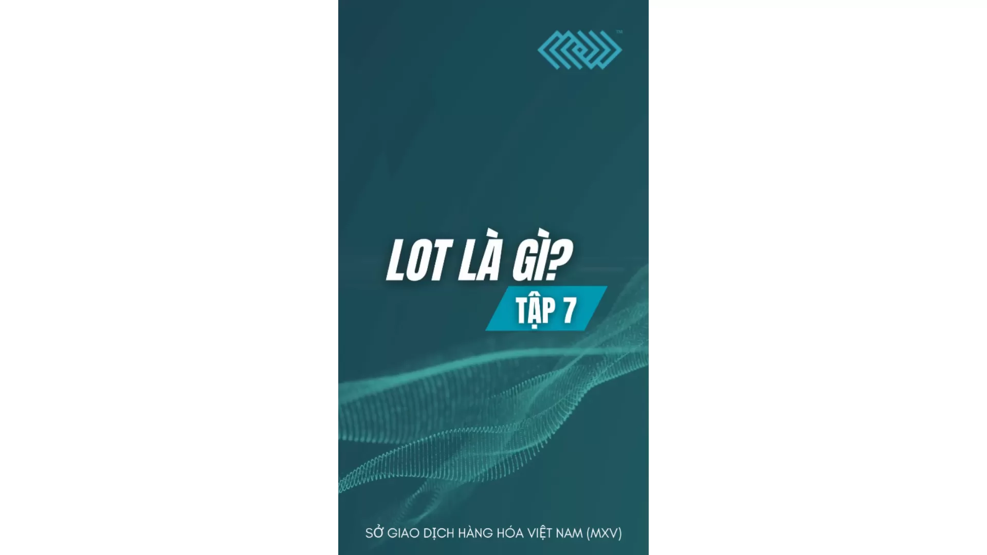 [Tập 7] LOT là gì? - Series Giải ngố thị trường